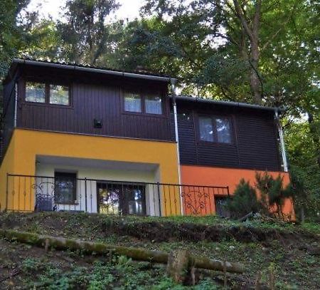 Irma- Forras Vendeghazak Lägenhet Kismaros Exteriör bild